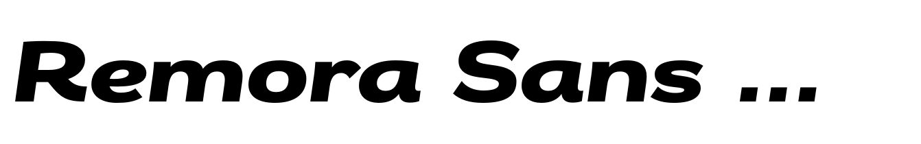 Remora Sans W5 Bold Italic